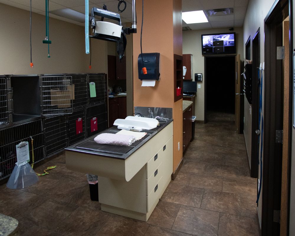 Healing Care Animal Hospital Surgery Room