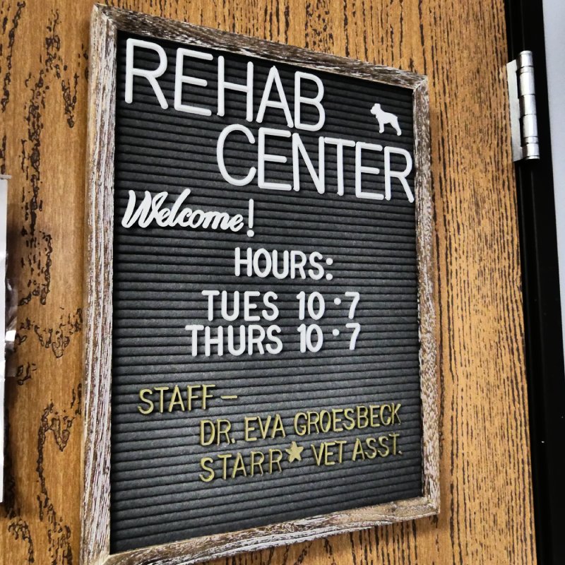 Pet rehab board on the wall